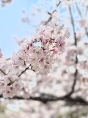 3月もありがとう画像