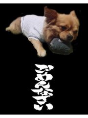 がーん(⌓)画像