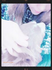 $B:#G/$+$iMhG/$X(B画像