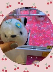 $B$+$o$$$$(B画像