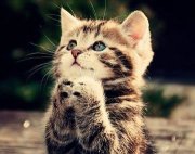 $B:#F|$O$*5Y$_$G$9(Bm(_ _)m画像