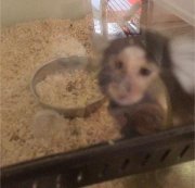 [お題]from:ブルペンエースさん画像